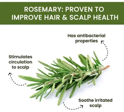 Rosemary Water Hair Spray 50 ML ( Pack Of 2 )
